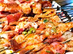 招牌肉串-邢氏老太太烧烤(南山店)