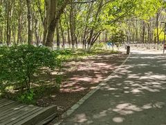 -长白岛森林公园