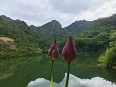 -大慈岩风景区