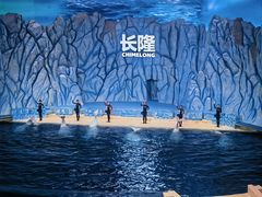 -珠海长隆海洋王国