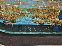 -阿伟海鲜楼·福建菜(延寿店)