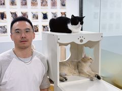 -有喵·猫咖·狗咖·30几只猫10只小狗(岗厦店)