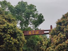 -大屏嶂森林公园