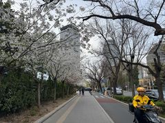 -中国农业博物馆