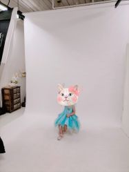-倾城宝贝儿童摄影(浦东金谊店)