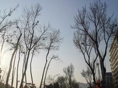 -清真喜兰老丁羊汤特色小吃