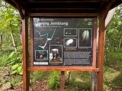 -中岜朗天坑(CV GEO INDO RAYA)