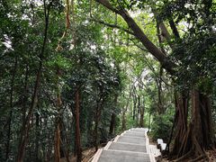 -广州市白云山风景名胜区