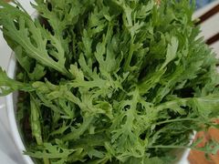 -草原传奇鲜羊火锅(桥北店)