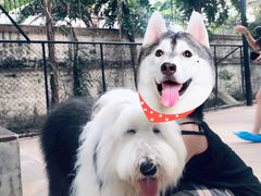 -TrueLove @ Neverland (Husky Cafe)