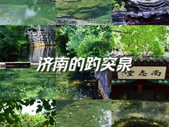 -趵突泉景区