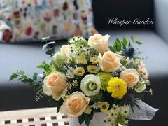 -刘健艺术钢琴学校·专注钢琴教育25周年(徐家汇校区)