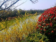 -上海海湾国家森林公园