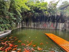 -千岛湖东南湖区
