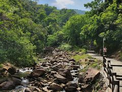 -广州白江湖森林公园