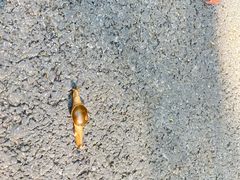 -滴水岩森林公园