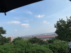-华西村