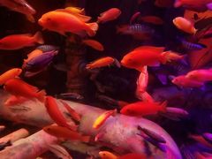 -沈阳海洋探索中心