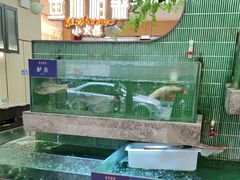 -鱼你相聚·河鲜馆(袁家岭店)