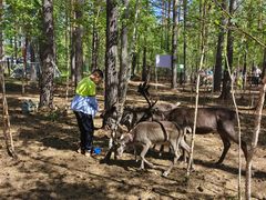-北极村旅游风景区