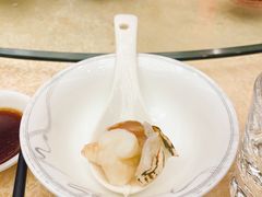 清蒸波斯大龙虾-天福海鲜酒楼·闽菜海鲜·宴请聚会(五四路店)
