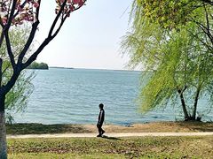 -漕湖湿地公园