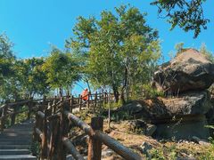 -白水寺森林公园