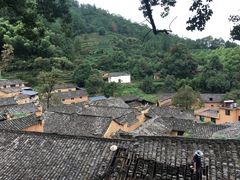 -杨家堂村