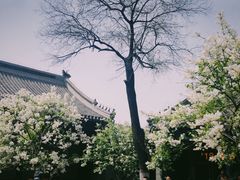 -保定直隶总督署博物馆