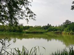 -白鹭湾湿地公园