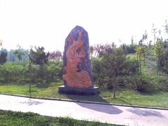 android_upload_pic-毛遂公园