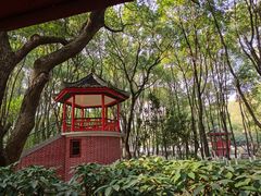 -马王堆汉墓遗址