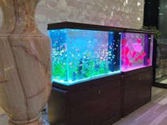 -山水温泉