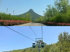 -抱犊崮国家森林公园