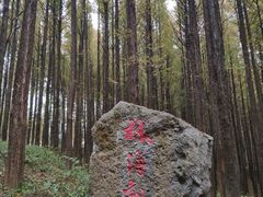-山王坪喀斯特国家生态公园