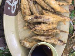 -贞姨美食·老字号海鲜大排档