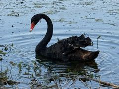 -昆山城市生态森林公园
