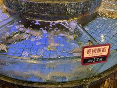 -金悦轩海鲜城(渔人码头店)
