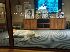 -大江户·温泉洗浴(浑南店)