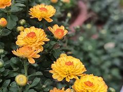 -共青国家森林公园-售票处