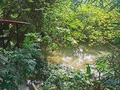 -凤阁楼果木烧鹅(鹤山陈山店)