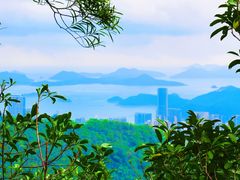 -梧桐山风景名胜区