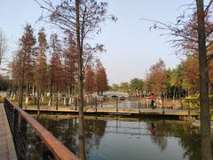 -映月湖公园