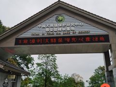 -中国大熊猫保护研究中心雅安碧峰峡基地