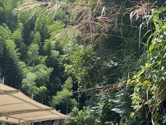 -将军关探险漂流