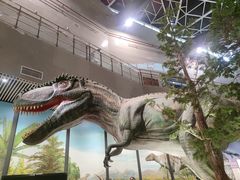 -湖南省地质博物馆