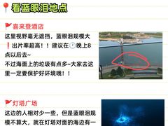 -日照灯塔风景区