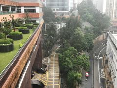 -香港大学