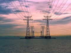 -宝安西湾红树林湿地公园