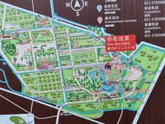 -上海长兴岛郊野公园